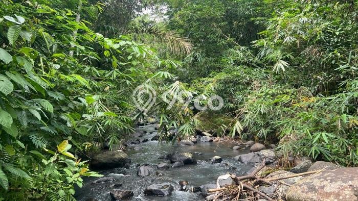 Lahan Dijual Lokasi Selemadeg, Tabanan dengan Luas Tanah 14000m2 dan Status SHM Lahan Dijual Lokasi Selemadeg, Tabanan dengan Luas Tanah 14000m2 dan Status SHM