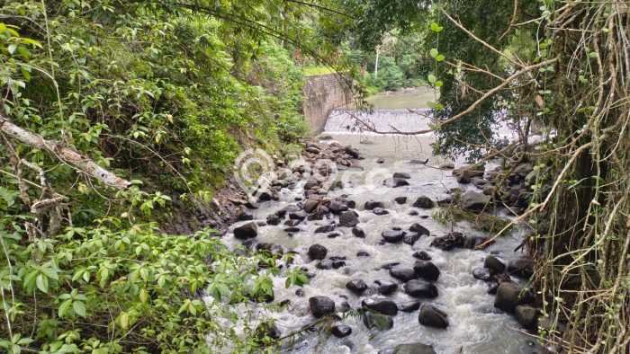 Tanah Kavling untuk Dijual di Tabanan Tabanan 4000m2 Tanah Kavling untuk Dijual di Tabanan Tabanan 4000m2