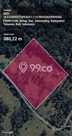 Tanah Strategis Dijual di Selemadeg Tabanan 16800m2 Tanah Strategis Dijual di Selemadeg Tabanan 16800m2