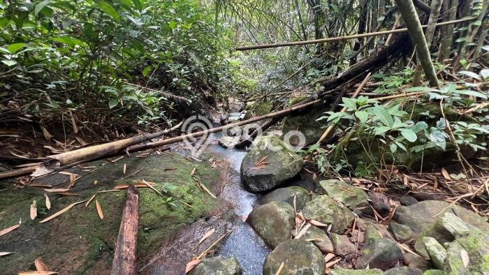 Untuk Dijual Tanah di Tabanan, Luas 6000m2 SHM Untuk Dijual Tanah di Tabanan, Luas 6000m2 SHM