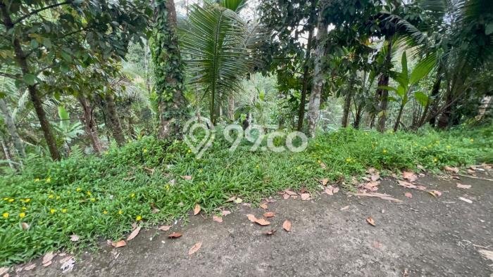 Tanah Dijual Lokasi Penebel, Tabanan dengan Luas Tanah 2000m2 dan Status SHM Tanah Dijual Lokasi Penebel, Tabanan dengan Luas Tanah 2000m2 dan Status SHM
