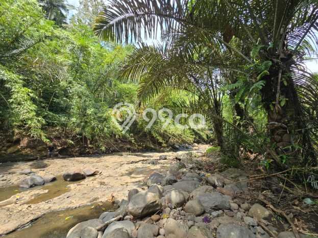 Tanah Kavling di Selemadeg Dijual dengan Luas 1900m2 Tanah Kavling di Selemadeg Dijual dengan Luas 1900m2