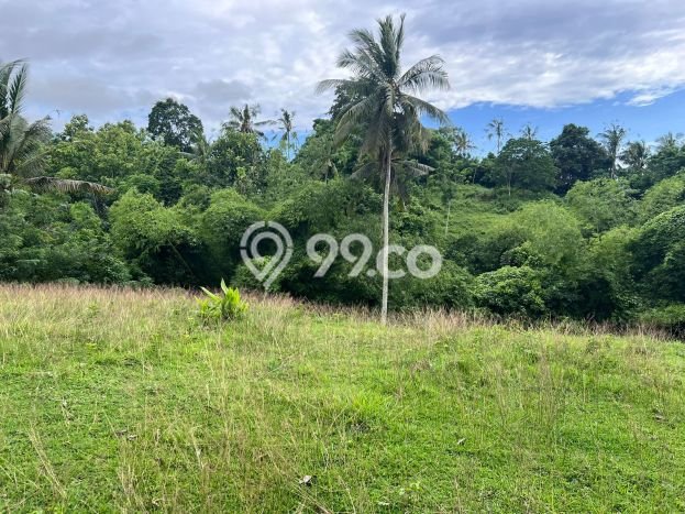 Tanah Kavling untuk Dijual di Selemadeg Tabanan 25000m2 Tanah Kavling untuk Dijual di Selemadeg Tabanan 25000m2