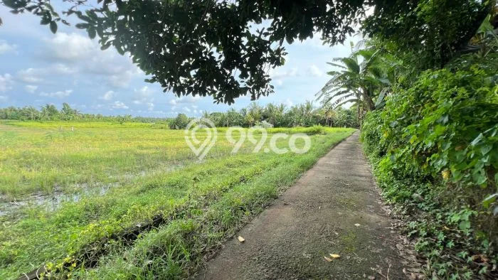 Kavling Tanah untuk Dijual di Bantas, Tabanan, Luas 5000m2 Kavling Tanah untuk Dijual di Bantas, Tabanan, Luas 5000m2