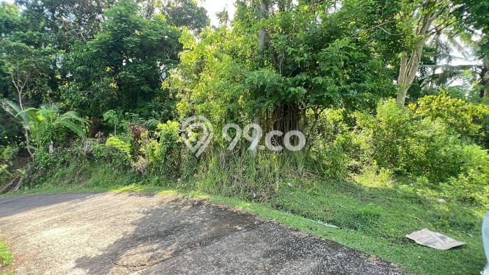 Tanah Kavling Dijual di Lalanglinggah, Tabanan dengan Luas Tanah 10205m2 Tanah Kavling Dijual di Lalanglinggah, Tabanan dengan Luas Tanah 10205m2
