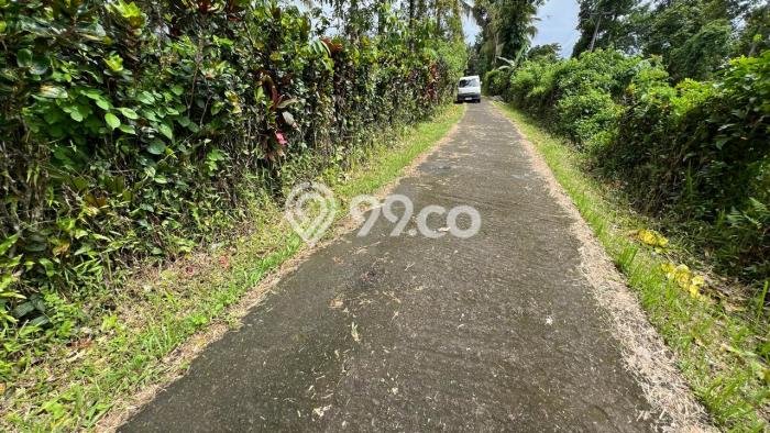 Lahan untuk Dijual di Tabanan Tabanan Luas 3000m2 Lahan untuk Dijual di Tabanan Tabanan Luas 3000m2