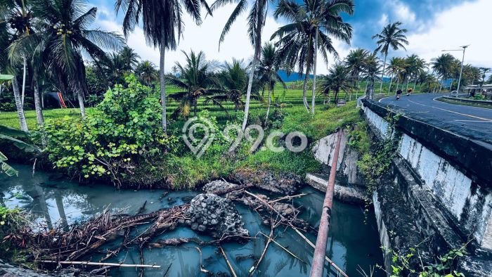 Lahan untuk Dijual Lokasi Selemadeg, Tabanan Luas 3000m2 SHM Lahan untuk Dijual Lokasi Selemadeg, Tabanan Luas 3000m2 SHM