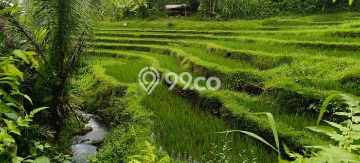 Dijual Tanah Lokasi Dalang, Tabanan Seluas 10800m2 Dijual Tanah Lokasi Dalang, Tabanan Seluas 10800m2