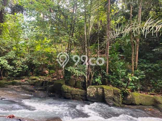 Tanah Kavling Dijual di Tabanan dengan Spesifikasi 17200m2 Tanah Kavling Dijual di Tabanan dengan Spesifikasi 17200m2