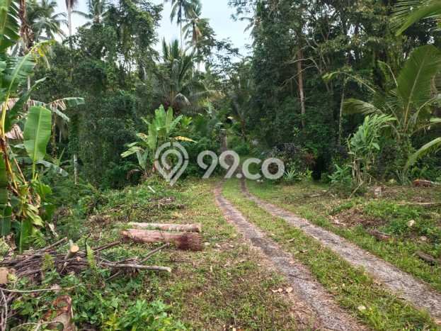 Tanah Kavling Dijual di Tabanan dengan Spesifikasi 17200m2 Tanah Kavling Dijual di Tabanan dengan Spesifikasi 17200m2