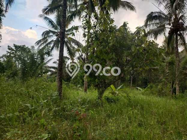 Tanah Kavling Dijual di Tabanan dengan Spesifikasi 17200m2 Tanah Kavling Dijual di Tabanan dengan Spesifikasi 17200m2