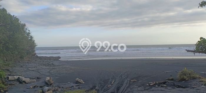 Untuk Dijual Tanah di Kerambitan Tabanan Luas 7500m2 SHM Untuk Dijual Tanah di Kerambitan Tabanan Luas 7500m2 SHM
