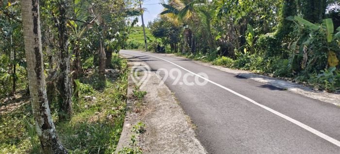 Tanah untuk Dijual Lokasi Selemadeg, Tabanan Luas 500m2 SHM Tanah untuk Dijual Lokasi Selemadeg, Tabanan Luas 500m2 SHM