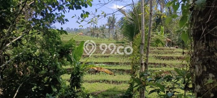 Tanah untuk Dijual Lokasi Selemadeg, Tabanan Luas 500m2 SHM Tanah untuk Dijual Lokasi Selemadeg, Tabanan Luas 500m2 SHM