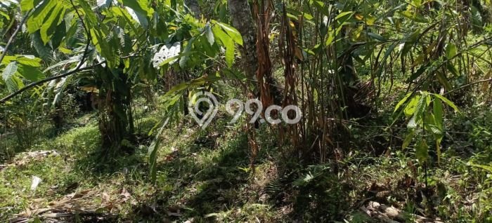 Tanah untuk Dijual Lokasi Selemadeg, Tabanan Luas 500m2 SHM Tanah untuk Dijual Lokasi Selemadeg, Tabanan Luas 500m2 SHM