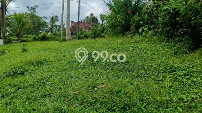 Kavling Tanah Dijual di Selemadeg Tabanan Spesifikasi 10000m2 Kavling Tanah Dijual di Selemadeg Tabanan Spesifikasi 10000m2