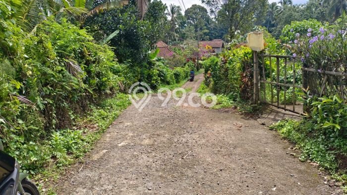 Kavling Tanah Dijual di Selemadeg Tabanan Spesifikasi 10000m2 Kavling Tanah Dijual di Selemadeg Tabanan Spesifikasi 10000m2