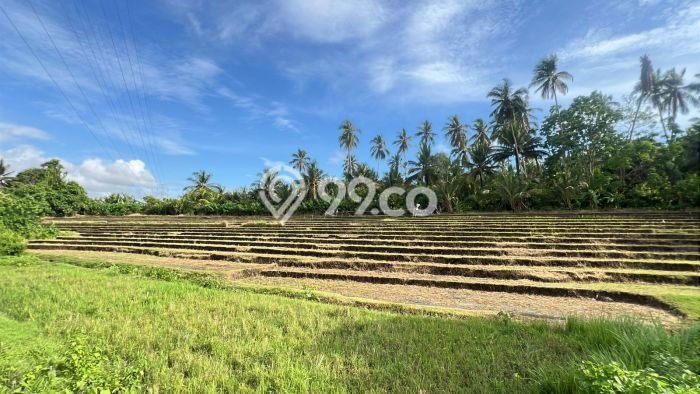 Tanah Komersial Dijual di Selemadeg Tabanan 2390m2 Tanah Komersial Dijual di Selemadeg Tabanan 2390m2