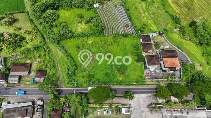 Jarang Ada! Tanah di Selemadeg Punya Luas 5735m2 SHM Jarang Ada! Tanah di Selemadeg Punya Luas 5735m2 SHM
