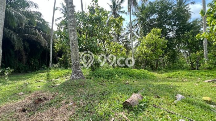 Tanah Kavling Dijual di Bantas, Tabanan dengan Luas Tanah 7100m2 Tanah Kavling Dijual di Bantas, Tabanan dengan Luas Tanah 7100m2