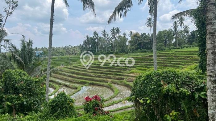 Dijual Tanah di Tabanan Tabanan Luas 16100m2 SHM Dijual Tanah di Tabanan Tabanan Luas 16100m2 SHM