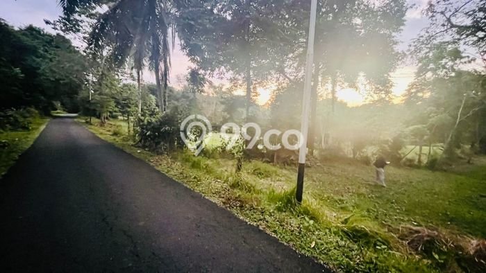 Kavling Tanah untuk Dijual di Lalanglinggah, Tabanan, Luas 1400m2 Kavling Tanah untuk Dijual di Lalanglinggah, Tabanan, Luas 1400m2