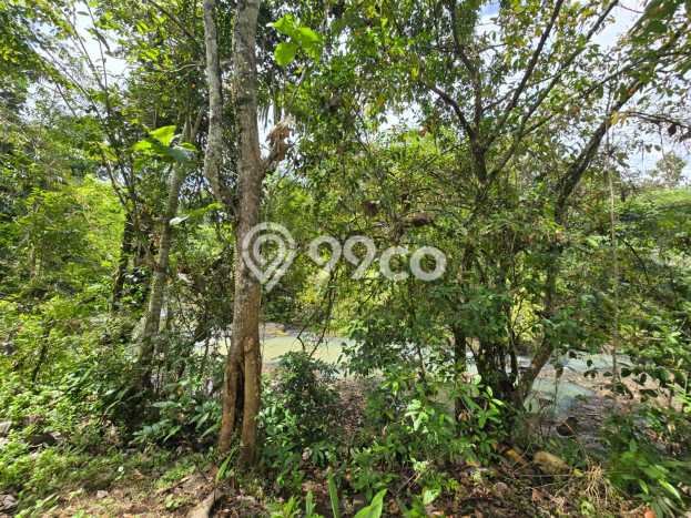 Kavling Tanah Dijual di Selemadeg Tabanan Spesifikasi 4400m2 Kavling Tanah Dijual di Selemadeg Tabanan Spesifikasi 4400m2