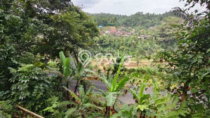 Kavling Tanah di Pupuan Dijual Luas 4980m2 Legalitas SHM Kavling Tanah di Pupuan Dijual Luas 4980m2 Legalitas SHM