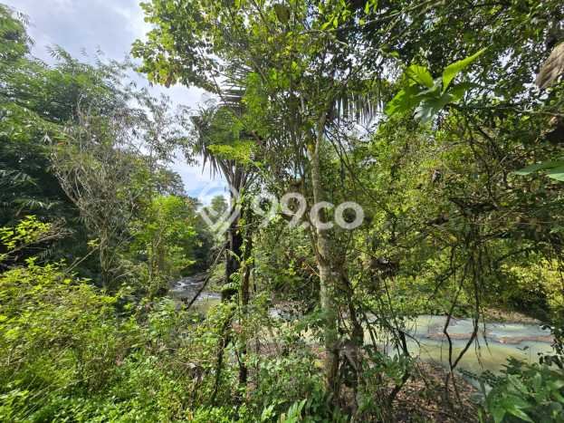Kavling Tanah Dijual di Selemadeg Tabanan Spesifikasi 4400m2 Kavling Tanah Dijual di Selemadeg Tabanan Spesifikasi 4400m2