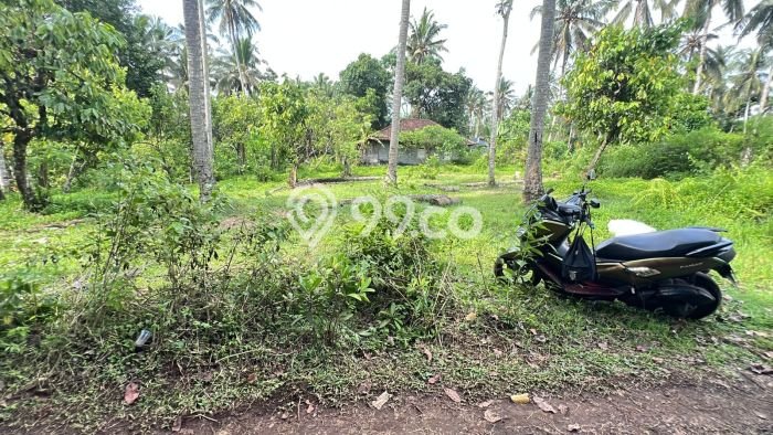 Tanah Kavling Dijual di Bantas, Tabanan dengan Luas Tanah 7100m2 Tanah Kavling Dijual di Bantas, Tabanan dengan Luas Tanah 7100m2