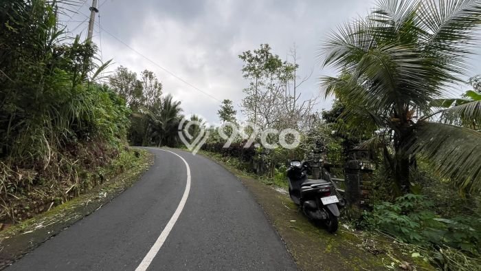 Dijual Tanah di Tabanan, Luas 5429m2 SHM Dijual Tanah di Tabanan, Luas 5429m2 SHM