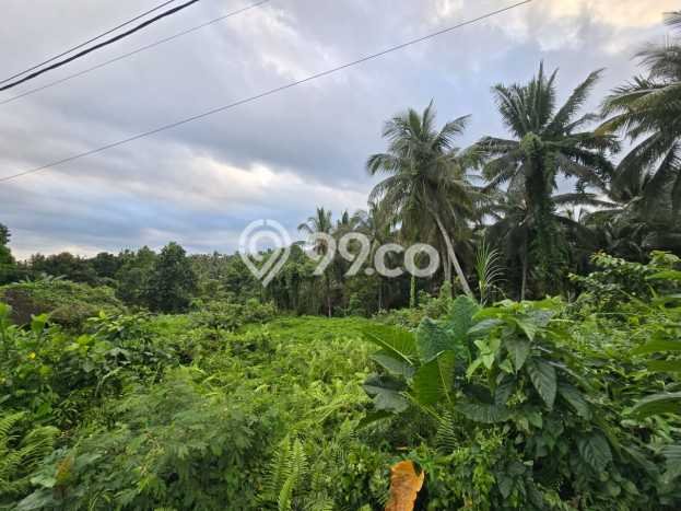 Lahan untuk Dijual Lokasi Selemadeg, Tabanan Luas 4225m2 SHM Lahan untuk Dijual Lokasi Selemadeg, Tabanan Luas 4225m2 SHM
