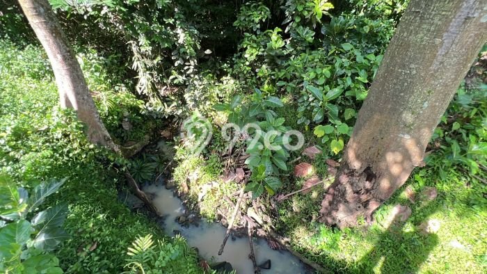Tanah Kavling Dijual di Lalanglinggah, Tabanan dengan Luas Tanah 10205m2 Tanah Kavling Dijual di Lalanglinggah, Tabanan dengan Luas Tanah 10205m2