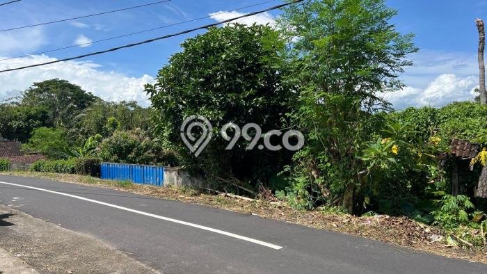 Dijual Tanah di Tabanan, Luas 1660m2 SHM Dijual Tanah di Tabanan, Luas 1660m2 SHM