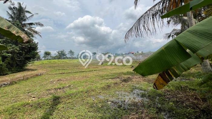 Tanah Investasi Dijual di Tabanan Punya Luas 1350m2 Tanah Investasi Dijual di Tabanan Punya Luas 1350m2