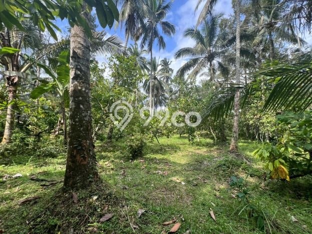 Dijual Tanah di Tabanan, Luas 6800m2 SHM Dijual Tanah di Tabanan, Luas 6800m2 SHM