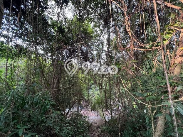 Tanah di Selemadeg, Tabanan Luas 850m2 Dijual Segera Tanah di Selemadeg, Tabanan Luas 850m2 Dijual Segera