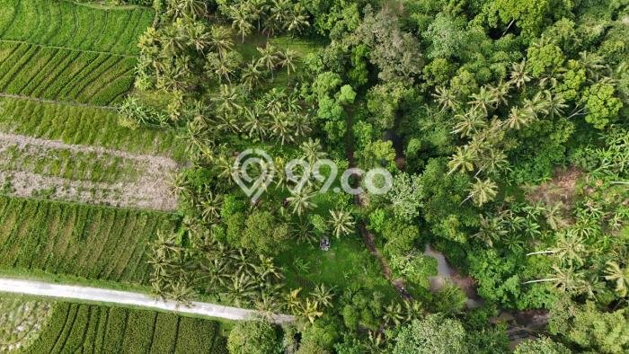 Tanah untuk Dijual di Selemadeg Tabanan Luas 1000m2 Tanah untuk Dijual di Selemadeg Tabanan Luas 1000m2