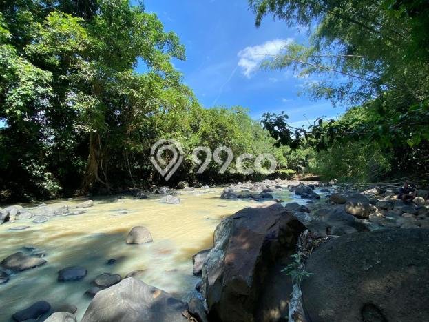 Tanah Dijual Lokasi Selemadeg, Tabanan Luas 3300m2 Legalitas Aman Tanah Dijual Lokasi Selemadeg, Tabanan Luas 3300m2 Legalitas Aman