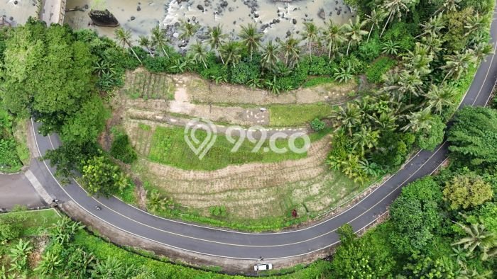 Tanah untuk Dijual Lokasi Selemadeg, Tabanan Luas 3000m2 SHM Tanah untuk Dijual Lokasi Selemadeg, Tabanan Luas 3000m2 SHM