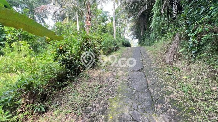 Tanah Kavling Dijual di Bantas, Tabanan dengan Luas Tanah 7100m2 Tanah Kavling Dijual di Bantas, Tabanan dengan Luas Tanah 7100m2