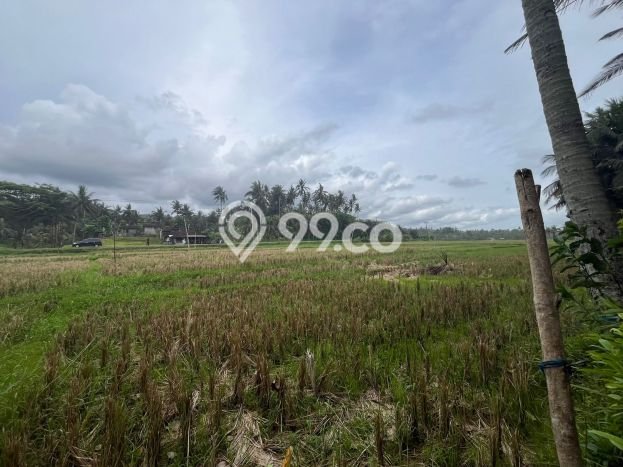 Tanah Dijual di Tabanan Seluas 1800m2 Strategis Tanah Dijual di Tabanan Seluas 1800m2 Strategis