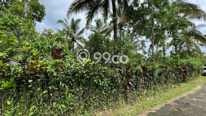 Lahan untuk Dijual di Tabanan Tabanan Luas 3000m2 Lahan untuk Dijual di Tabanan Tabanan Luas 3000m2