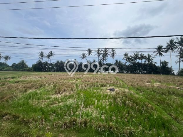 Tanah Dijual di Tabanan Seluas 1800m2 Strategis Tanah Dijual di Tabanan Seluas 1800m2 Strategis