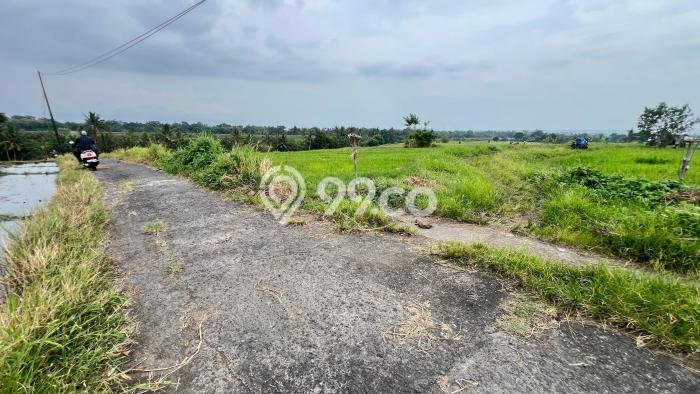 Tanah Kosong Dijual di Tabanan dengan Area 1250m2 Tanah Kosong Dijual di Tabanan dengan Area 1250m2