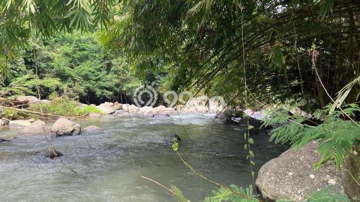 Lahan Dijual Lokasi Penebel, Tabanan dengan Luas Tanah 10500m2 dan Status SHM Lahan Dijual Lokasi Penebel, Tabanan dengan Luas Tanah 10500m2 dan Status SHM