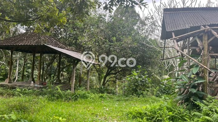Dijual Tanah di Tabanan, Luas 5429m2 SHM Dijual Tanah di Tabanan, Luas 5429m2 SHM