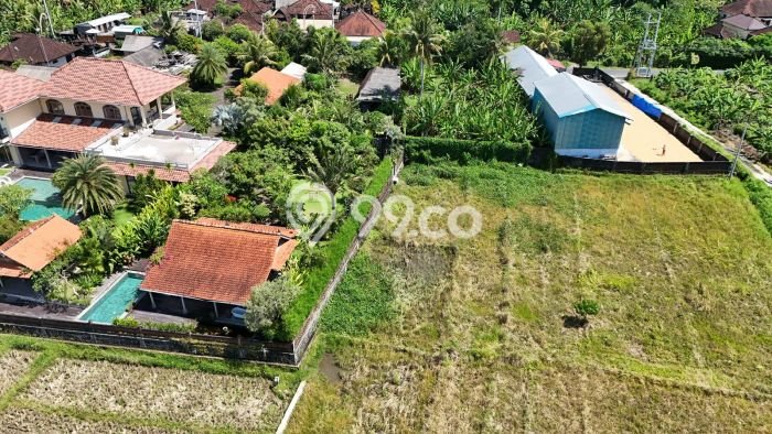 Kavling Tanah Dijual di Kerambitan Tabanan Spesifikasi 2600m2 Kavling Tanah Dijual di Kerambitan Tabanan Spesifikasi 2600m2