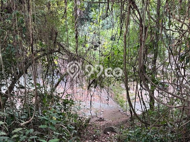 Tanah di Selemadeg, Tabanan Luas 850m2 Dijual Segera Tanah di Selemadeg, Tabanan Luas 850m2 Dijual Segera