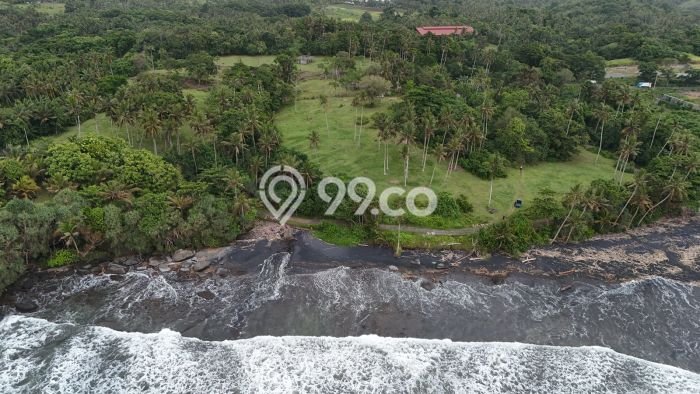 Tanah Strategis Dijual di Selemadeg Tabanan 16800m2 Tanah Strategis Dijual di Selemadeg Tabanan 16800m2